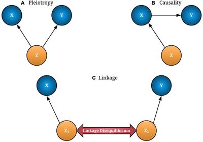 Integrative Transcriptome-Wide Analyses Uncover Novel Risk-Associated MicroRNAs in Hormone-Dependent Cancers